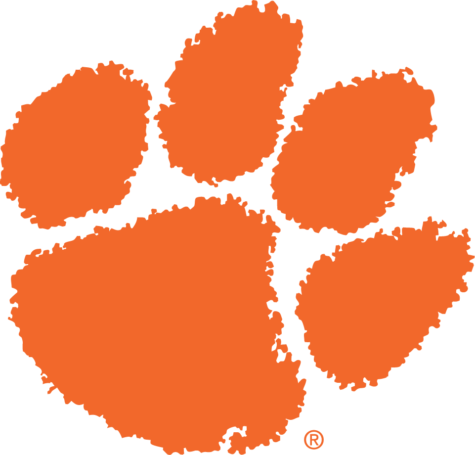 Clemson Tigers 1977-Pres Primary Logo diy DTF decal sticker